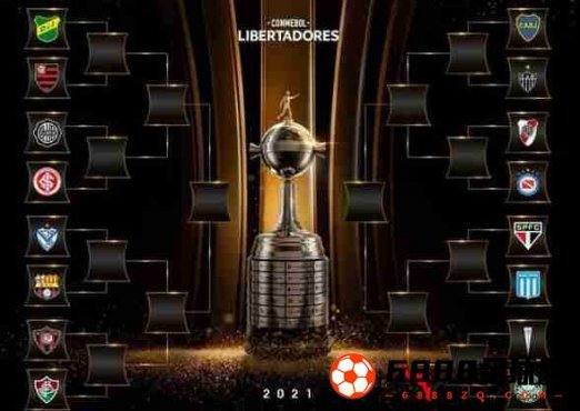 南美解放者杯决赛抽签结果：首回合于7月13日至15日进行